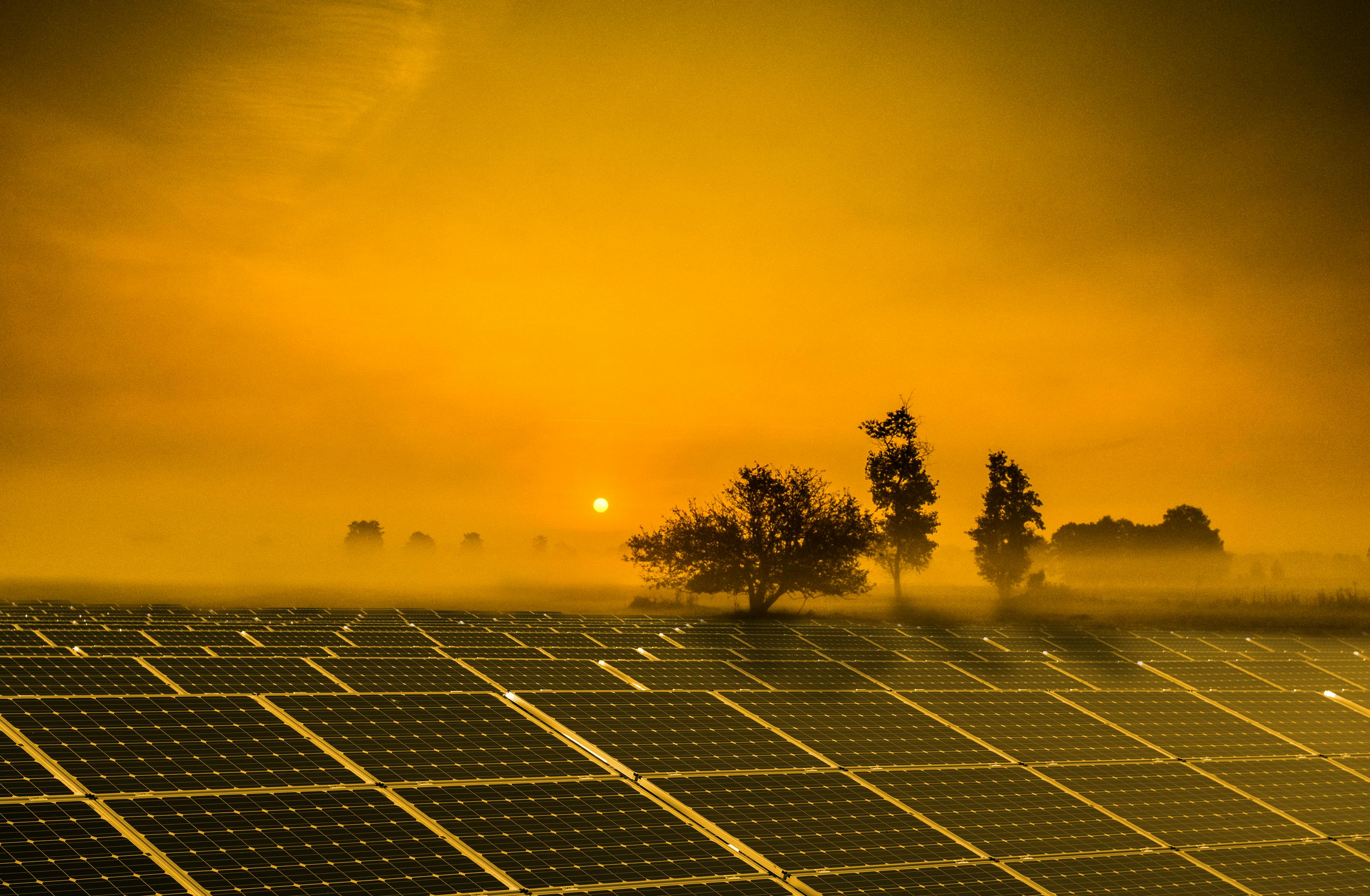 Solarenergie und Windkraft im Einklang mit der Natur